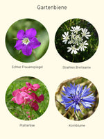 Lade das Bild in den Galerie-Viewer, Gartenbiene