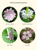 Lade das Bild in den Galerie-Viewer, Balkonbiene