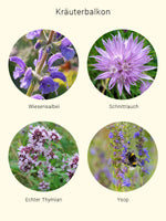 Lade das Bild in den Galerie-Viewer, Balkonbiene